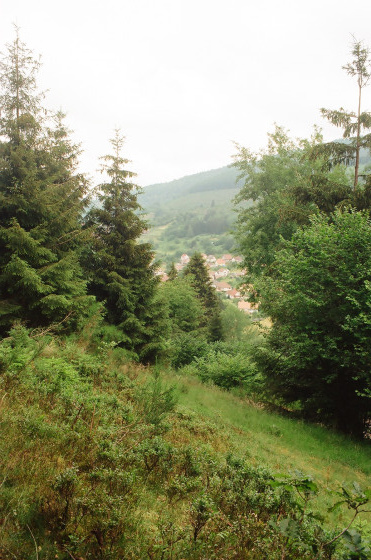 Natzwiller