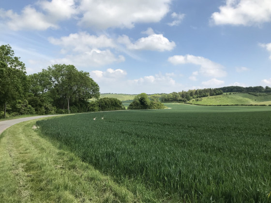 1. Près du départ