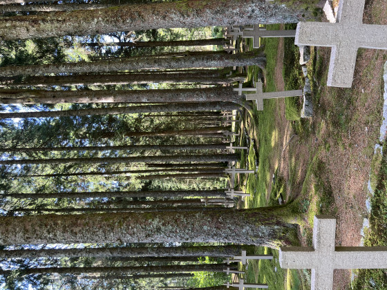 nécropole