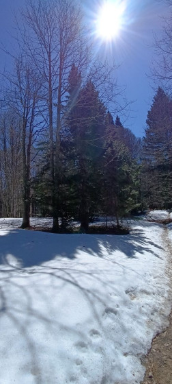 neige d'avril