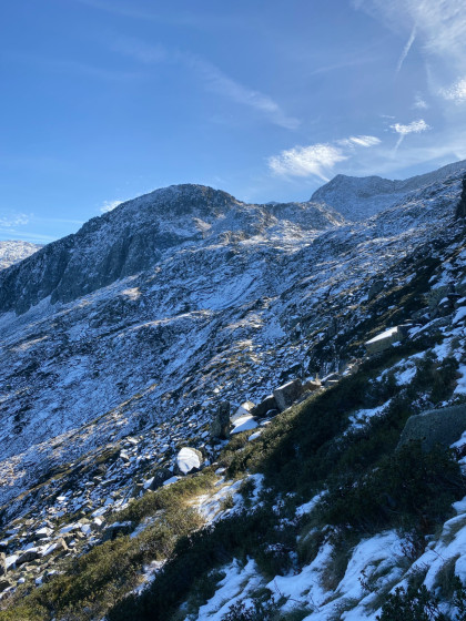 Neige