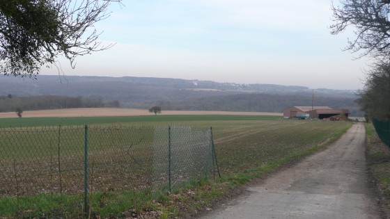 Nerville-la-Forêt