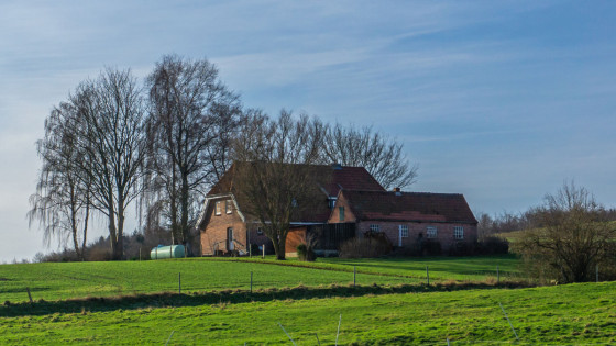 Neuwühren