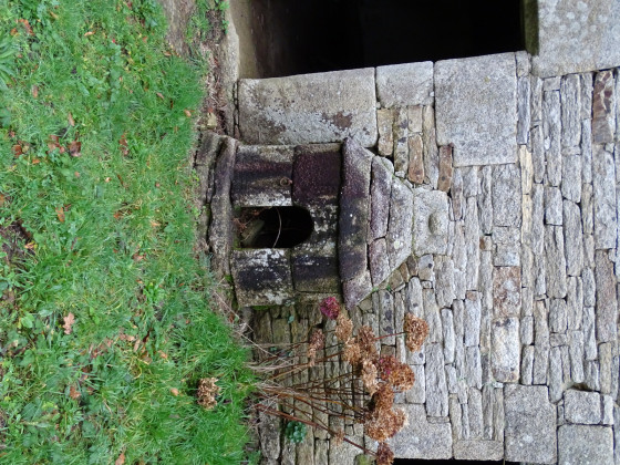 Niche à Chien