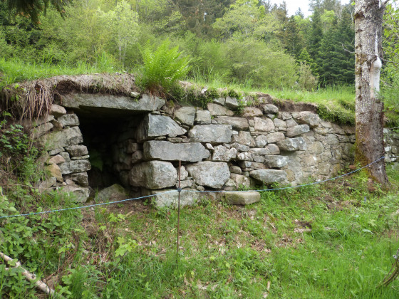 Niche et escalier