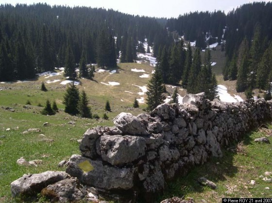 Nomansland