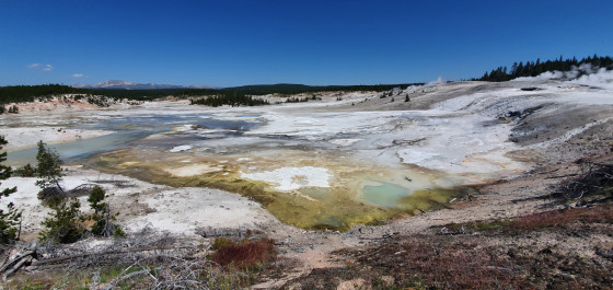 Norris Geyser Basin