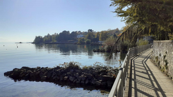 Nyon