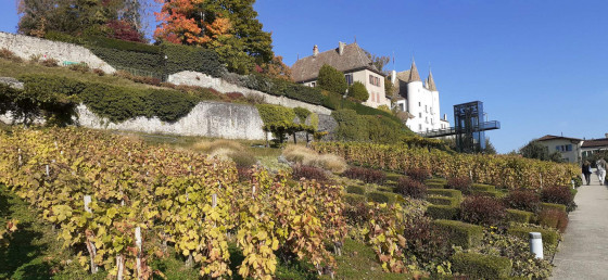 Nyon