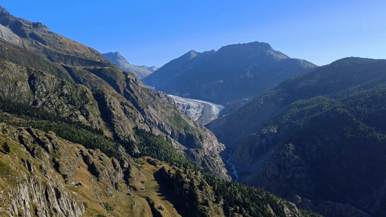 Oberaletsch