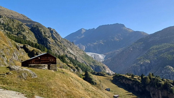 Oberaletsch