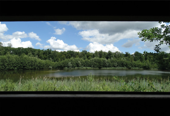 Observatoire ornithologique du Brunnwald