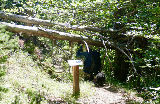 obstacle