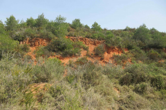 Ocre