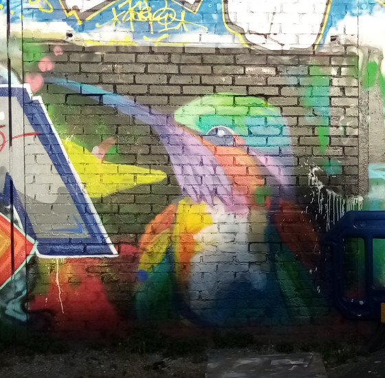Oiseau color&eacute;