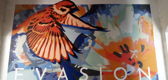 Oiseau