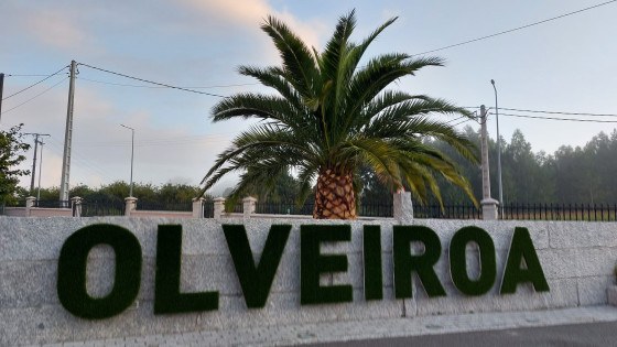 Olveiroa