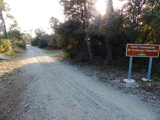 On change de commune en pleine for&ecirc;t basse.