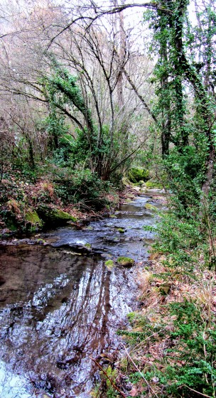 on va quitter le ruisseau