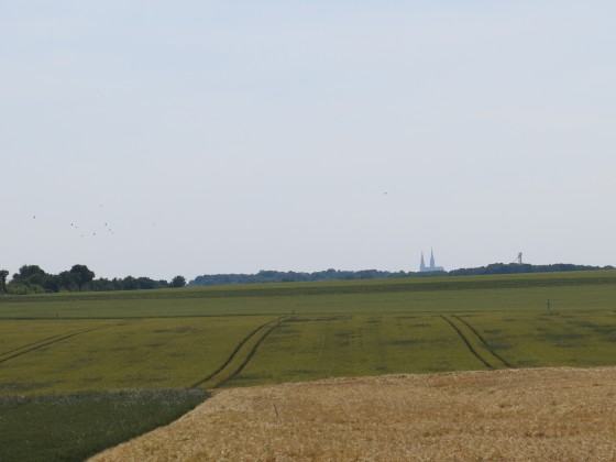 Ondulations et cathédrale