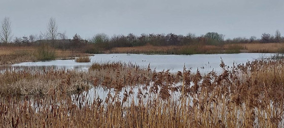 One of the lakes