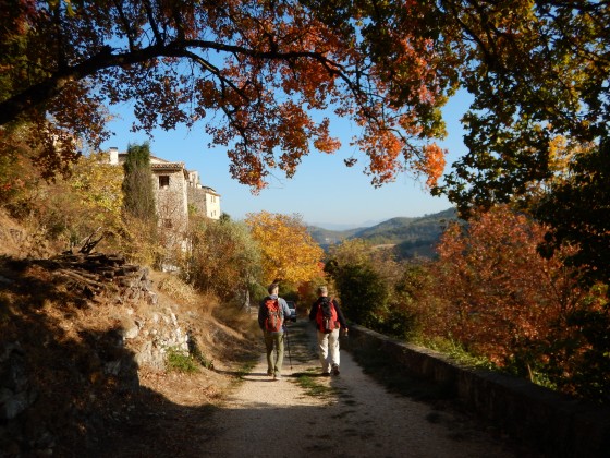 Oppedette