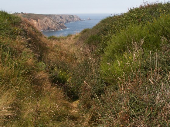 Oppidum de Castel Meur
