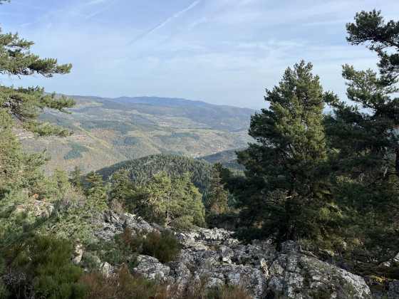 Oppidum gaulois
