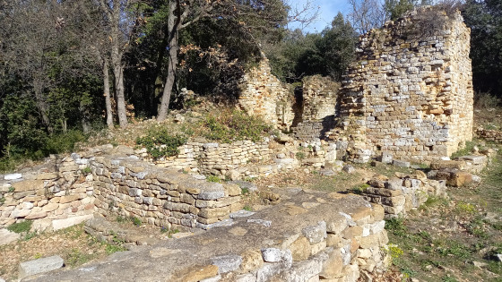 Oppidum Saint Vincent