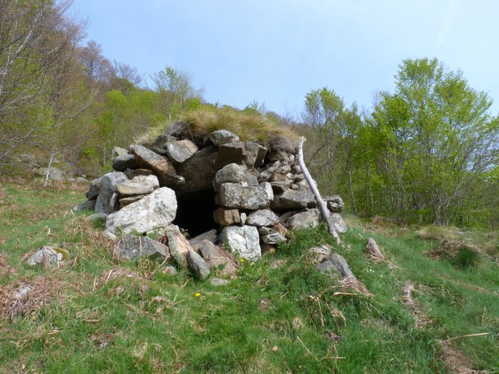 Orri