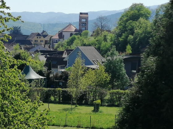 Osenbach