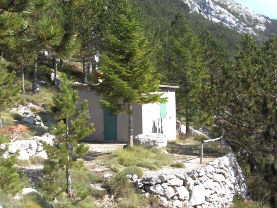 Osicina