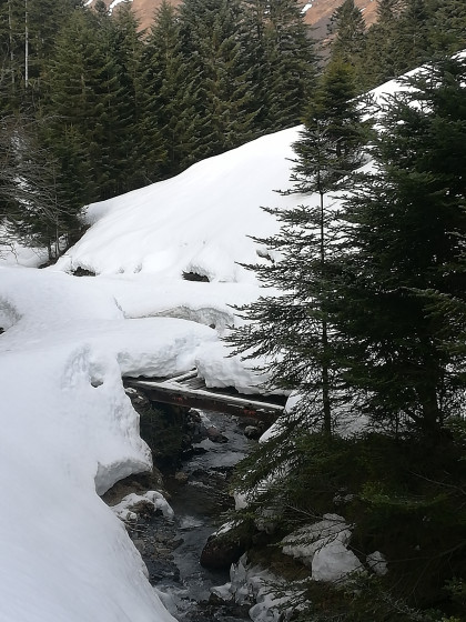 Pont sous la neige