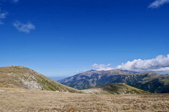 Pacage d'altitude, vue sur le Pla Guillem à droite.