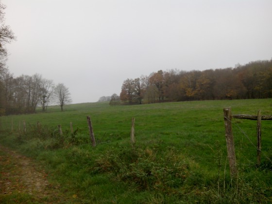 Pairies au sortir de Bellot