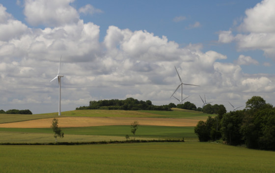 Palette de verts