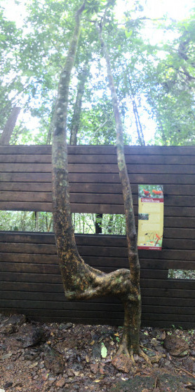Palisade &agrave; trous