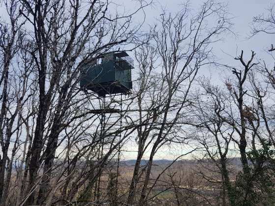 Palombière en hauteur