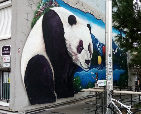 Panda