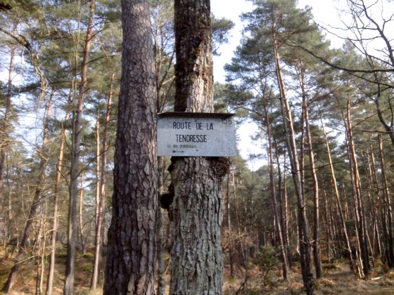 Panneau