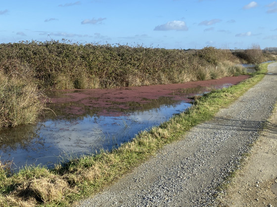 Panoplie de couleurs