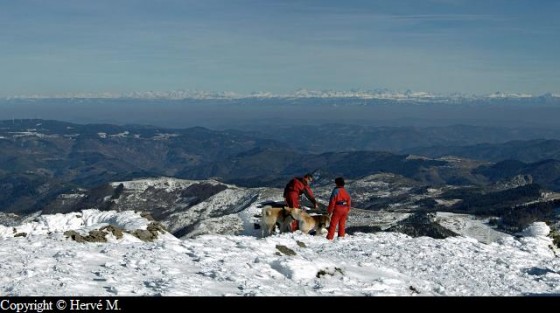 La chaîne des Alpes depuis le sommet du Mézenc La chaîne des Alpes depuis le sommet du Mézenc