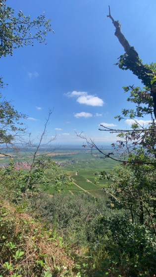 Panorama au sommet
