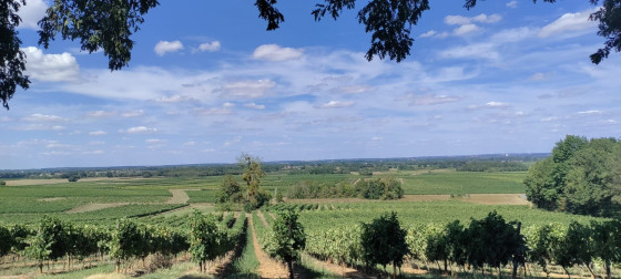 Panorama - banc