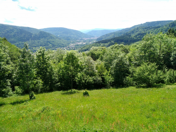 Panorama \