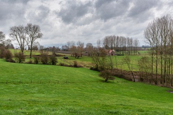 Panorama champêtre