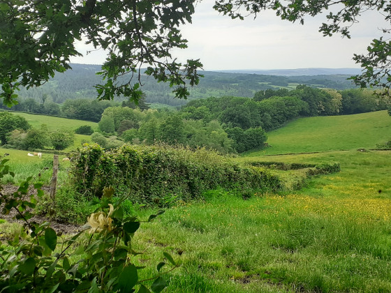 Panorama depuis Athée