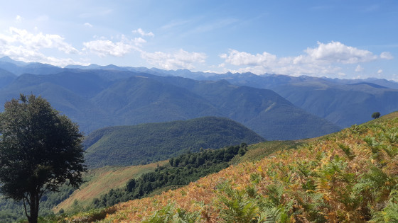 Panorama depuis la montée