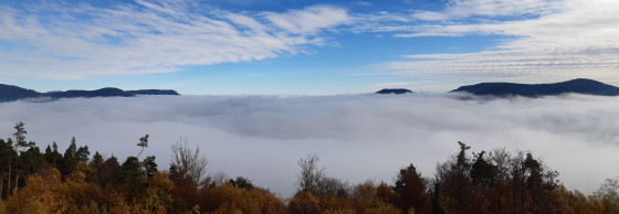 Panorama depuis la Tour