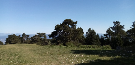Panorama depuis le Mourre Nègre